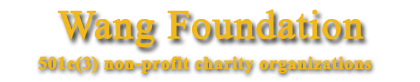Wang Foundation For Sight Restoration